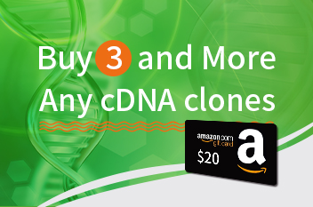cDNA clone promotion banners
